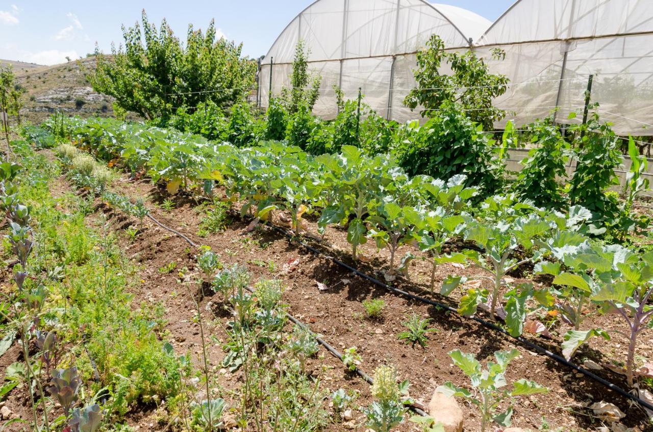 Vivere Gli Iblei - Maison En Plain Air Ragusa Bagian luar foto