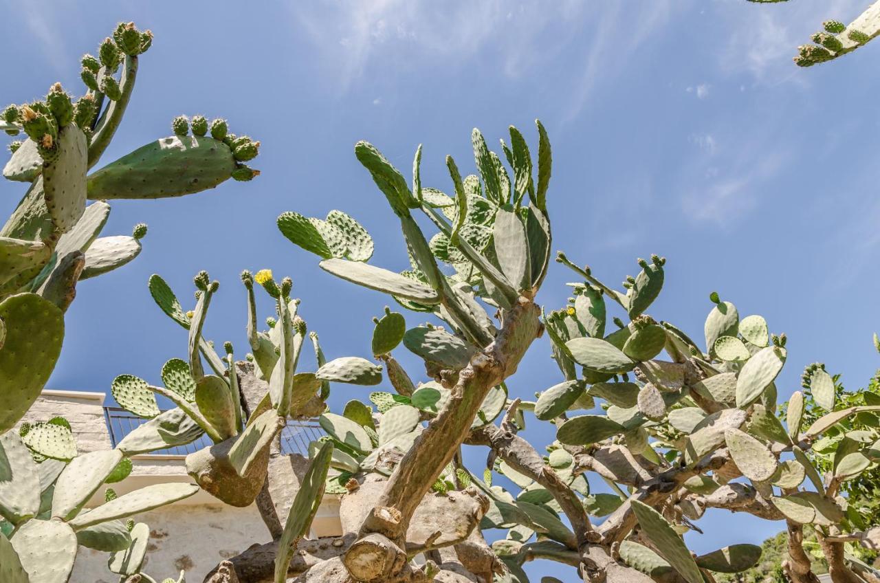 Vivere Gli Iblei - Maison En Plain Air Ragusa Bagian luar foto